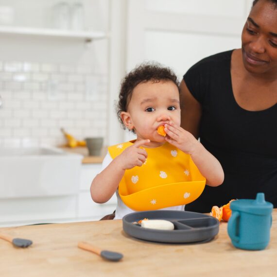 Baby Silicone Bib (Mauve)
